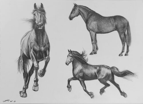 3 Caballos