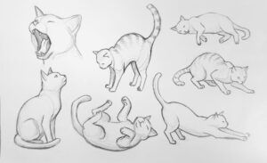 Curso online de dibujo: Animales para principiantes